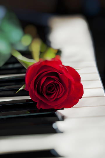 青岛西海岸0比0深圳新鹏城